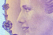 High resolution Argentine banknote watermark 
