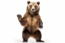 Powerful Majestic Bear Pose. Impressive Picture Of A Big Brown Bear Standing Up On Hind Legs, Isolated On A White Background. Wildlife Concept AI Generative