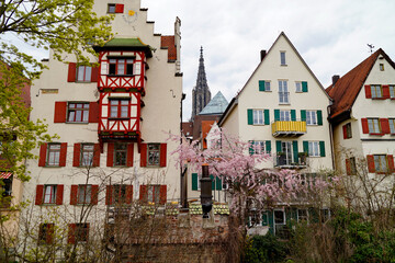 Scenic view of the Ulm City with its gothic Ulmer Muenster (Ulm Minster) and modern and ancient half-timbered houses on a fine spring day (Ulm, Germany, Europe)