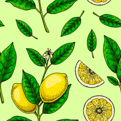 Wall Mural -  Lemon seamless pattern. Colorful hand drawn vector illustration in sketch style. Tropical exotic citrus fruit summer background