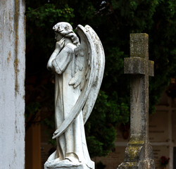 Canvas Print - Reflexiones en el cementerio