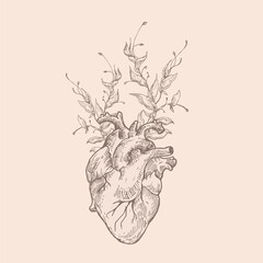 Wall Mural - abstract vector romantic illustration. hand drawn anatomical heart sketch with flowers branches draw