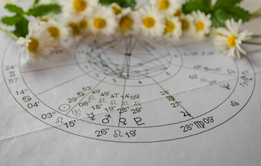 Wall Mural - Printed astrology chart with planets Mars and Venus,  white daisies in the background, spring concept