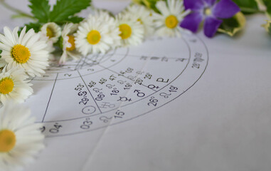 Wall Mural - Detail of printed astrology chart with Venus planet,  spring flowers in the background, spring concept