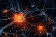 Mapping the Brain: Advances in Brain Imaging and Brain Research