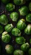 Fresh Brussels sprouts with water drops. Fresh green brussels sprouts top view. Professional processing. Juicy Brussels sprouts for a magazine. Generative AI.