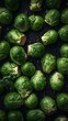 Fresh Brussels sprouts with water drops. Fresh green brussels sprouts top view. Professional processing. Juicy Brussels sprouts for a magazine. Generative AI.