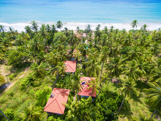 Wall Mural - Sea beach with coconut palm trees and hotel houses, Sri Lanka