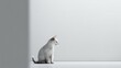 © zakiroff - White cat, minimalism on a grey background with copy space Generative AI