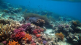 Fototapeta Do akwarium - view of coral reefs on the bottom of the clear sea, generative ai
