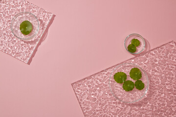 Sticker - Background for the presentation of cosmetic products - petri dishes and acrylic sheet decorated on pink background with gotu kola leaves. Cosmetic with natural gotu kola extract concept