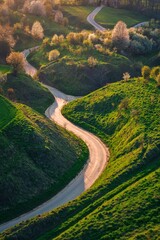 Beautiful green spring landscape in the Polish countryside. Winding road among green grass and flowering trees.