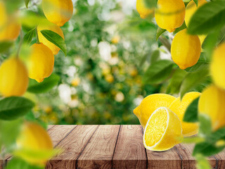 Wall Mural - lemon on wood top table at lemon farm