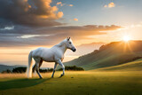 Fototapeta Konie - horse in sunset