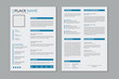 © Desinger - Professional modern and clean double pages resume template, CV layout design with mockup