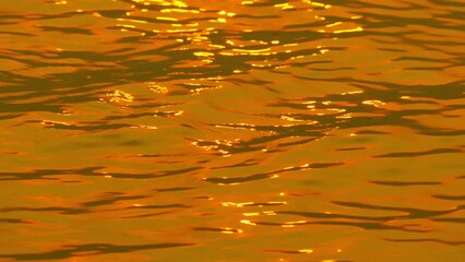 Wall Mural - water wave reflection sunset of sunlight over lake surface in slow motion. cinematic scene water reflection golden wave background. high quality footage 4k prores422