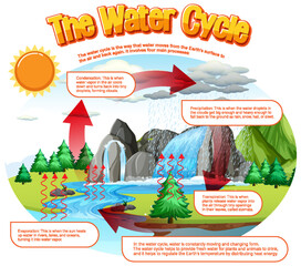 Sticker - The water cycle diagram for science education