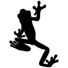 Silhouette Frog