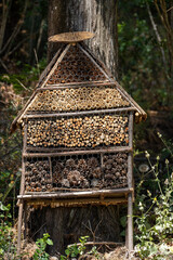 An insect house in the Monsanto Forest in Lisbon, Portugal