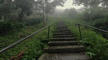 A Man Climbs The Old Stairs In The Lush Indian Jungle Or Forest Wilderness