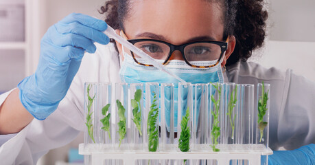 Wall Mural - she studies all forms of plant life. a young scientist working with plant samples in a lab.