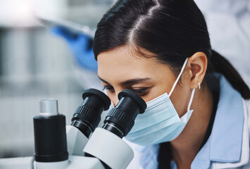 Wall Mural - todays a good day to make a discovery. a young female researcher working in a laboratory.
