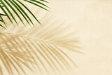 Fototapeta Boho - Sandy beach with shadow of palm leaves - background