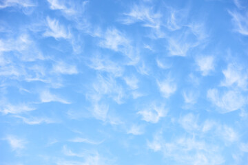 Wall Mural - fleecy clouds - abstract background