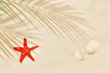 Wall Mural - beach sand with shadow of palm leaf, starfish and seashells