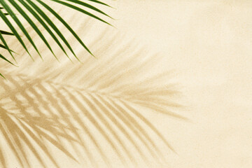 Wall Mural - sandy beach with shadow of palm leaves - background