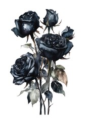 Watercolor bouquet of black roses isolated on white background. Generative AI.