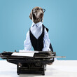 Portrait of funny dog Weimaraner dressed as businessman over blue studio background with typewriter. Humorous depiction of a boss pet. Concept of love, animal health care , fashion, creativity, ad