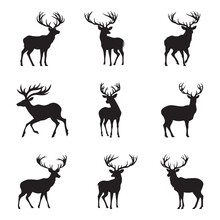 Set Of Silhouette Deer Isolated On White Background