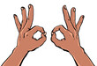 © Mud Magus - Stylized hand drawn back of hands doing okay gesture in first person point of view 1st POV OK sign