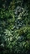 Vertical garden ornamental plant background backdrop portrait. Fern, vine, green leaves, nature wallpaper, decorative wall.
