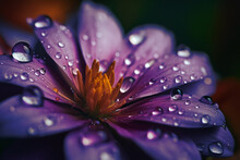 Fond D'écran Avec Gouttelettes D'eau Sur Une Fleur Violette » IA Générative