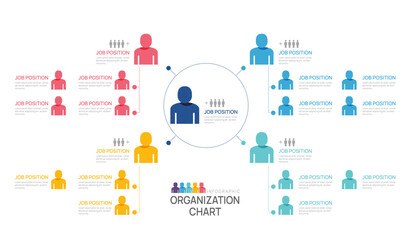 Wall Mural - Infographic template for organization chart with business people icons. vector infographic for business.