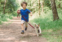 Happy Boy Running With Dog On Leash By Park Alley On Summer Day