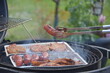 grill z kiełbasą i mięsem