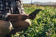 Crop monitoring made simple with smart apps. an unrecognisable man using a digital tablet while working on a farm.