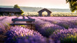 sunlit lavender field, with rows of fragrant purple flowers, Generative AI