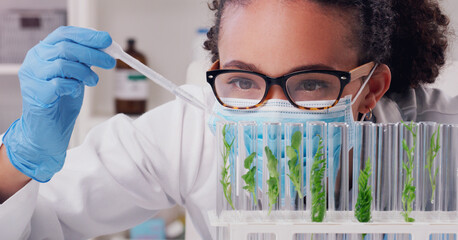 Wall Mural - every study is lead by curiosity. a young scientist working with plant samples in a lab.