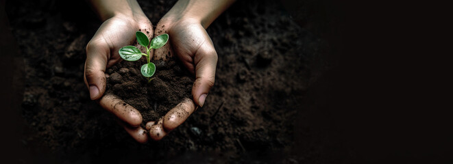 Wall Mural - green plant in hand, concept of farming and planting, panoramic layout. Generative Ai