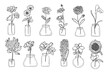 Realistic flower pot line art set. Perfect for illustrations.