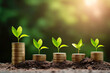 © innluga - Grow early on coins and soil ideas for saving money, financial growth and profit from business investments. Financial growth concept. Generative AI.