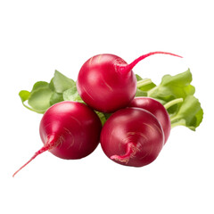 Poster - Radishes on a transparent background. cut out png