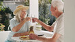 © K Louw/peopleimages.com - Cheers my love. a happy senior couple sitting outside together and toasting with water while enjoying a snack.