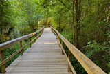 Fototapeta Do pokoju - Wooden pathway in Fiaes