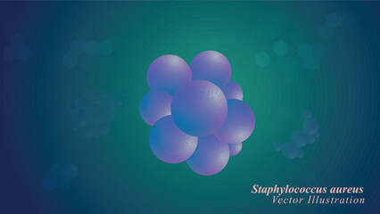 Illustration of Staphylococcus aureus Bacteria, Microscopic View of Staphylococcus aureus Bacteria