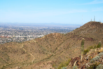 Wall Mural - Saguaro cacti on a steep slope of North Mountain Park hiking trail in Phoenix, Arizona